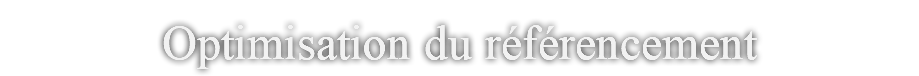 Optimisation du référencement